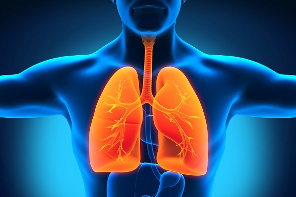 Read more about the article Mesothelioma in Glendale: Understanding the Legal Landscape