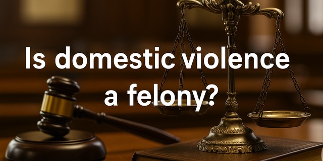 Read more about the article Is Domestic Violence a Felony or misdemeanor? Charges, Penalties and its Defenses